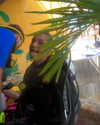 tamar_nk Altpins Profile Picture