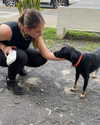tamar_nk Altpins Profile Picture