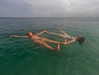 tamar_nk Altpins Profile Picture