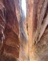 tamar_nk Altpins Profile Picture
