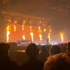 tarantvlagrll Altpins Profile Picture