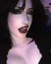 tarantvlagrll Altpins Profile Picture