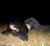 tarantvlagrll Altpins Profile Picture