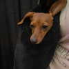 tarayummyy Altpins Profile Picture