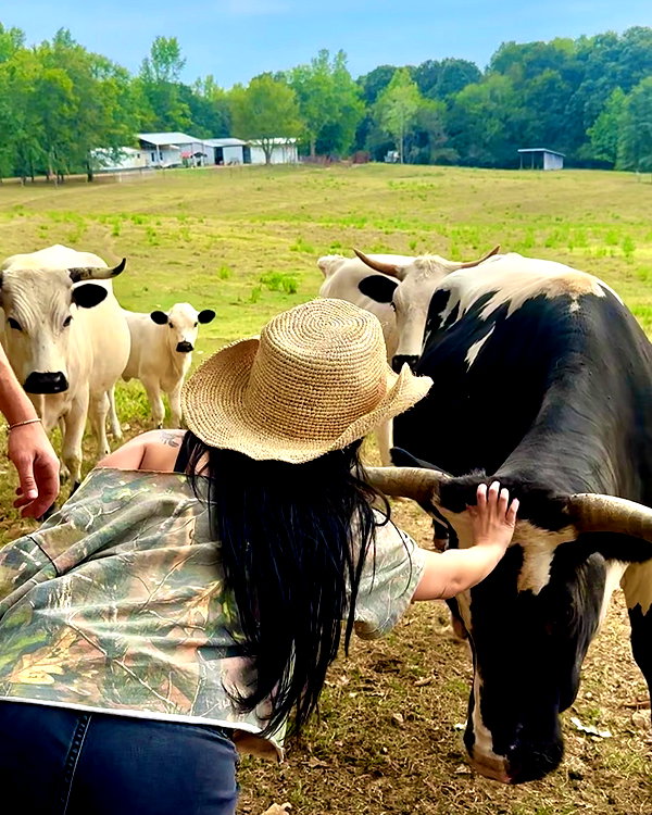 tarayummyy instagram image archive image