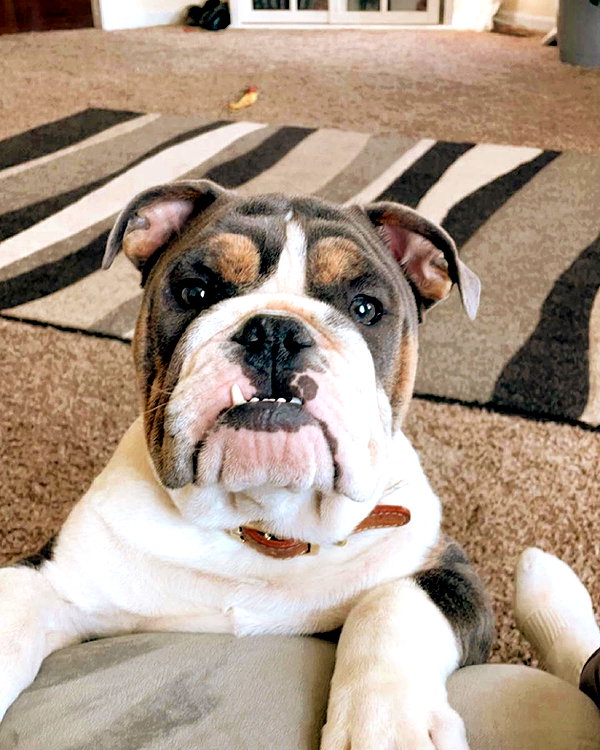 tayyy.arrowood instagram image archive image