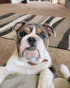 tayyy.arrowood Altpins Profile Picture