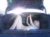 te4sed Altpins Profile Picture