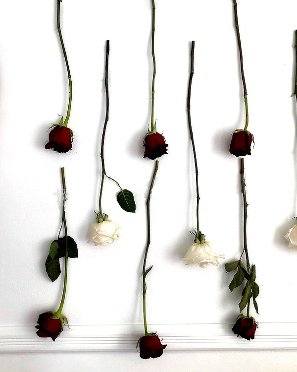 teafl0wer instagram image archive image