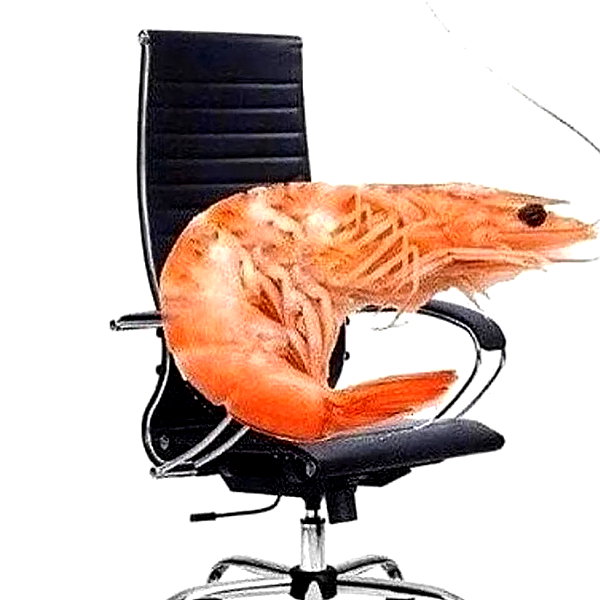 teafl0wer instagram image archive image