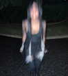 teafl0wer Altpins Profile Picture