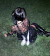 teafl0wer Altpins Profile Picture