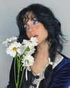 teafl0wer Altpins Profile Picture