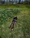 teafl0wer Altpins Profile Picture