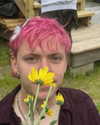 teafl0wer Altpins Profile Picture
