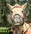 thekierstengrace Altpins Profile Picture