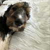 thekierstengrace Altpins Profile Picture