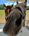 thekierstengrace Altpins Profile Picture