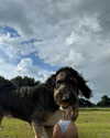 thekierstengrace Altpins Profile Picture
