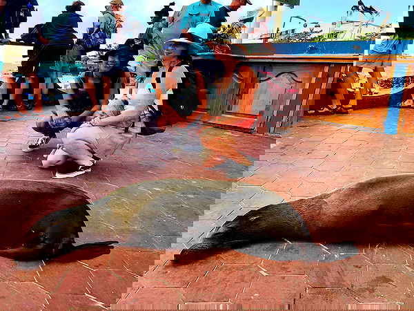 thelizzyporter thelizzyporter archive image