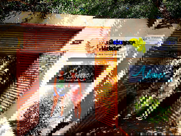 thelizzyporter thelizzyporter archive image