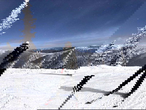 thelizzyporter thelizzyporter archive image