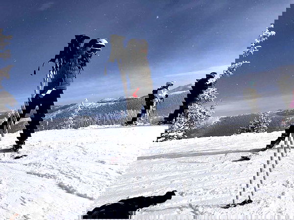 thelizzyporter thelizzyporter archive image