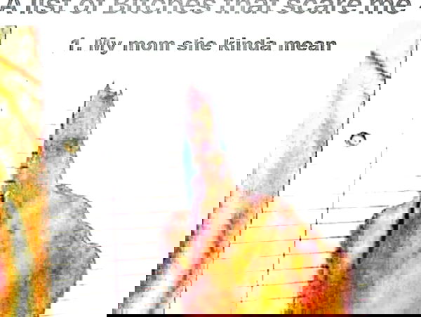 thelizzyporter thelizzyporter archive image