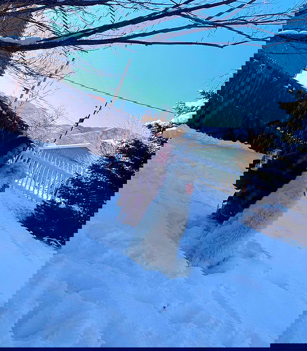 thelizzyporter thelizzyporter archive image