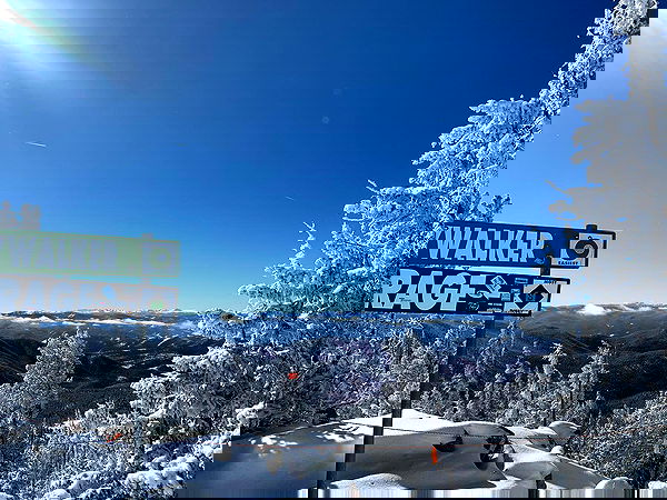 thelizzyporter thelizzyporter archive image