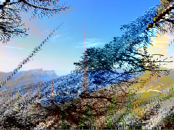 thelizzyporter thelizzyporter archive image