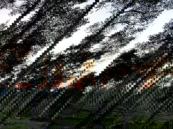 thelizzyporter thelizzyporter archive image