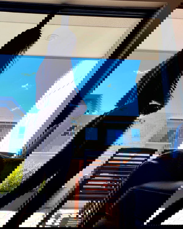 thelizzyporter thelizzyporter archive image