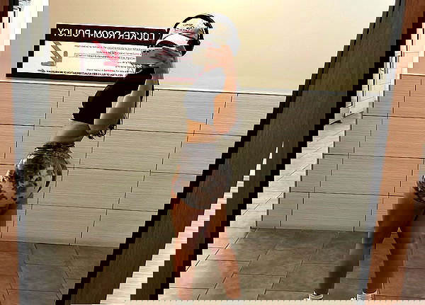 thelizzyporter thelizzyporter archive image