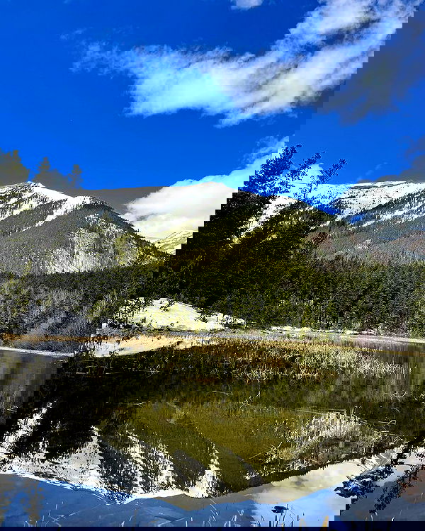 thelizzyporter thelizzyporter archive image