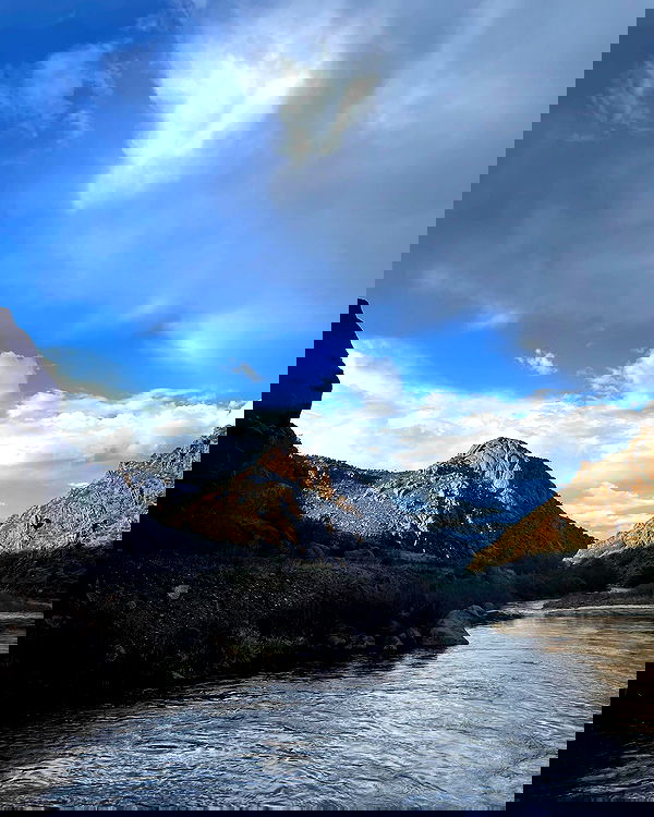 thelizzyporter thelizzyporter archive image