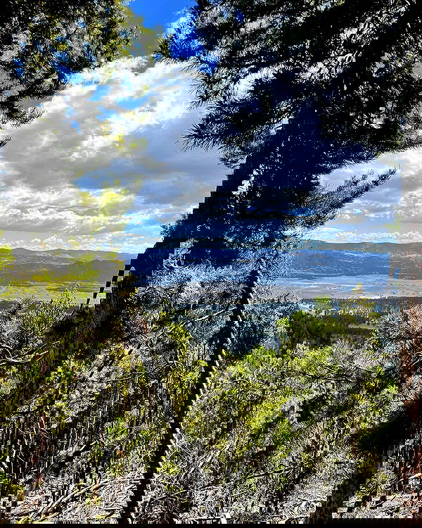 thelizzyporter thelizzyporter archive image