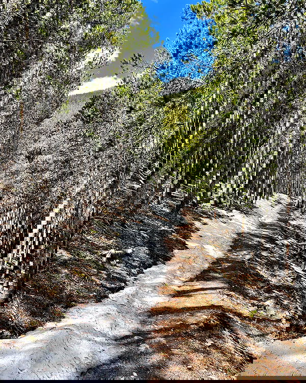 thelizzyporter thelizzyporter archive image