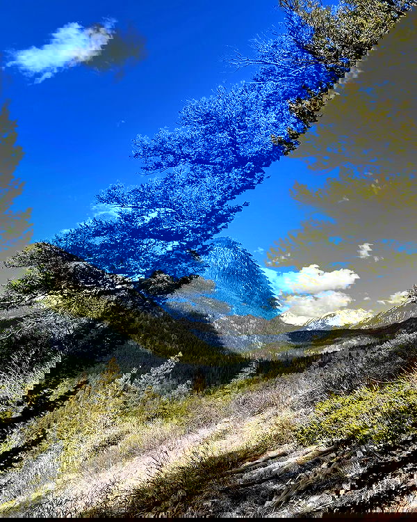 thelizzyporter thelizzyporter archive image