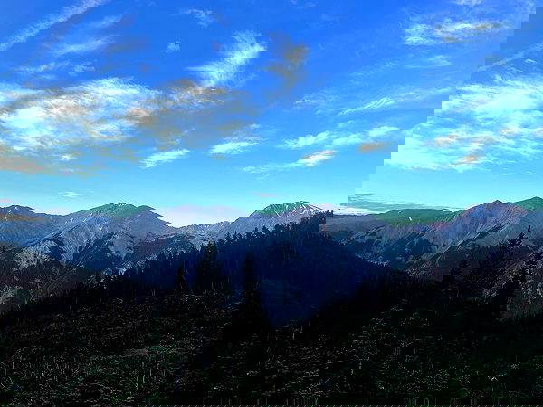 thelizzyporter thelizzyporter archive image