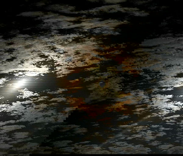 thelizzyporter thelizzyporter archive image