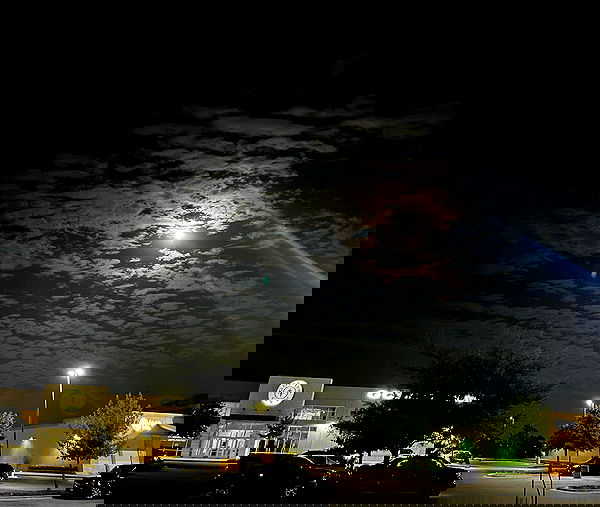 thelizzyporter thelizzyporter archive image