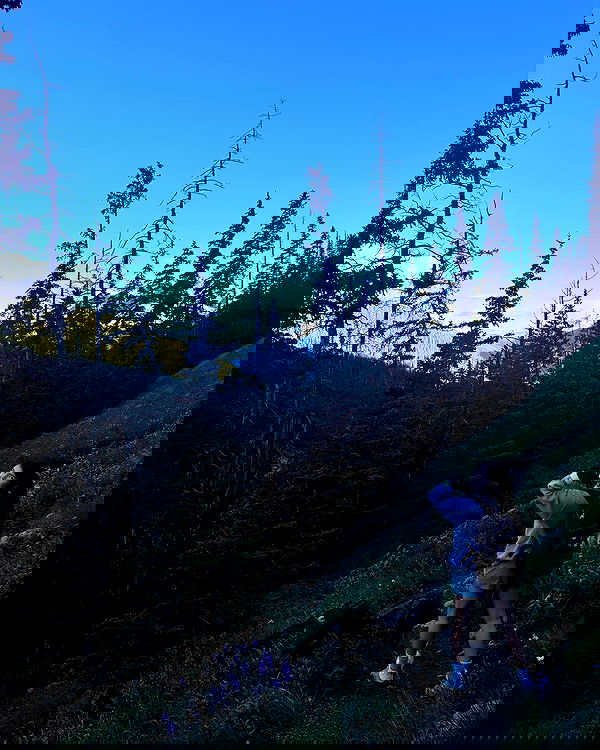 thelizzyporter thelizzyporter archive image