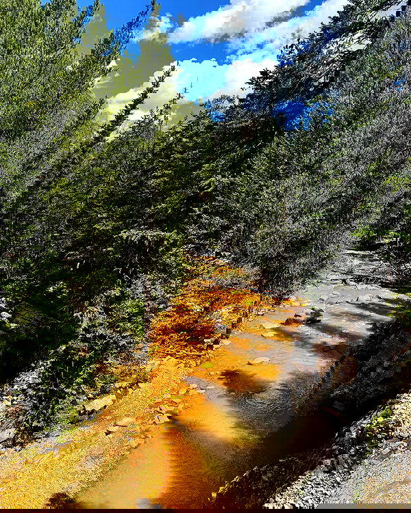 thelizzyporter thelizzyporter archive image