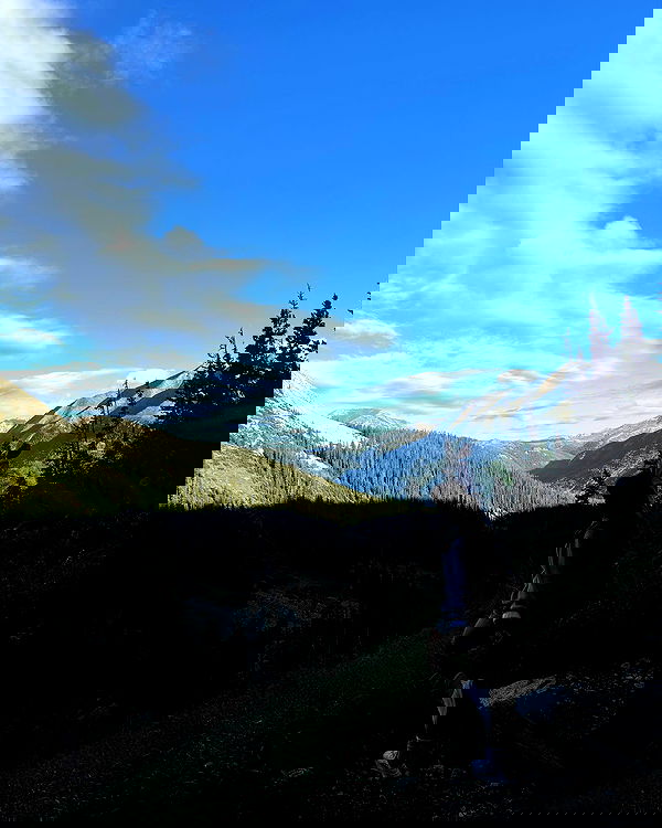 thelizzyporter thelizzyporter archive image