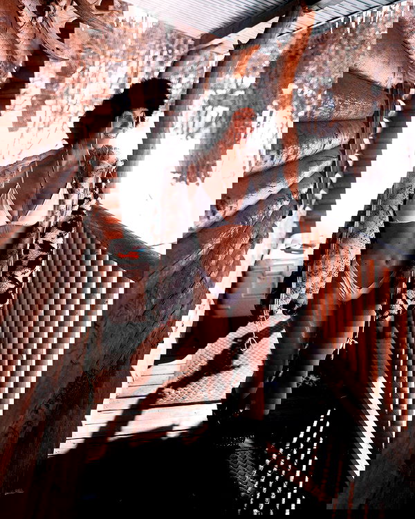 therealbrittfit therealbrittfit archive image