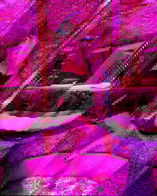 therealbrittfit therealbrittfit archive image