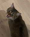 theresemarlen Altpins Profile Picture
