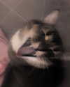 theresemarlen Altpins Profile Picture