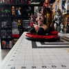 threefingerbangbang Altpins Profile Picture